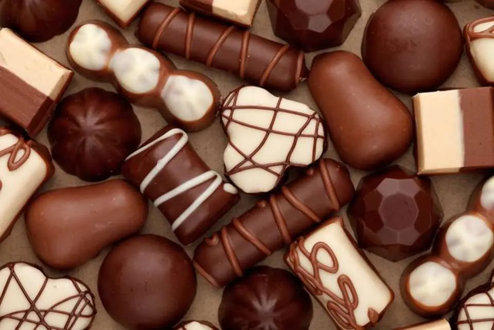 Cokelat dan Bir
